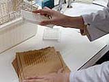 8-OHdG ELISA procedure washing the plate /oxidative sress markers/oxidative stress test