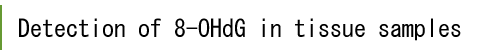 Detection of 8-hydroxy-2'-deoxyguanosine in tissue/cultured cells.