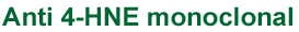 Anti 4-HNE monoclonal antobody (HNE-J2)